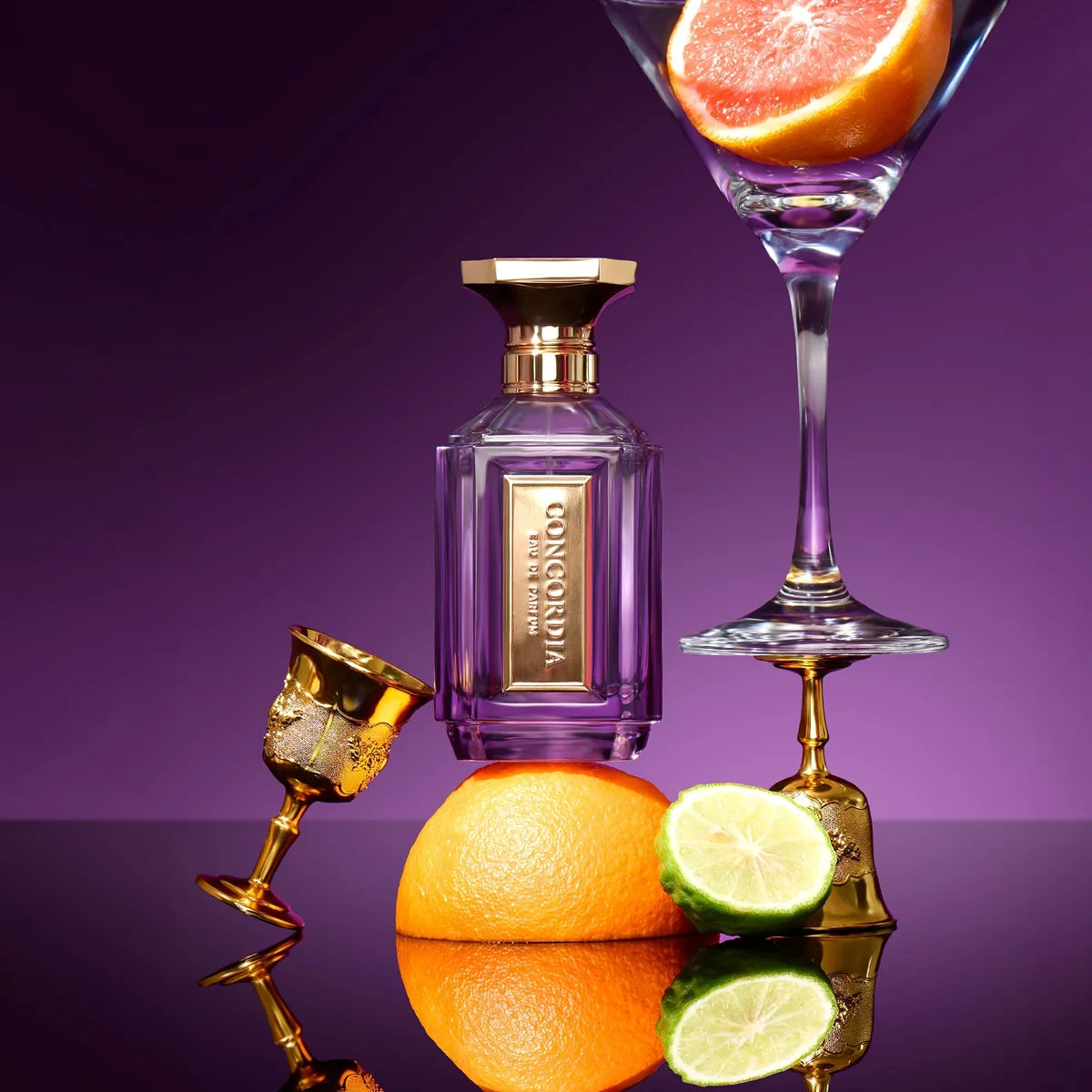Velixir Parfums  Concordia Eau De Parfum 100ML