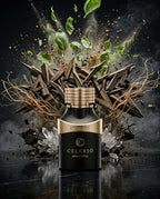 Celerio Grafitto Extrai de Parfum 100ML