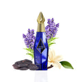 Al Qalam Delegation By Adyan EDP 100ml