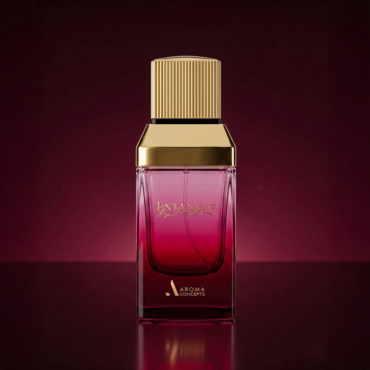 ENTANGLE de Aroma Concepts 100ML EDP