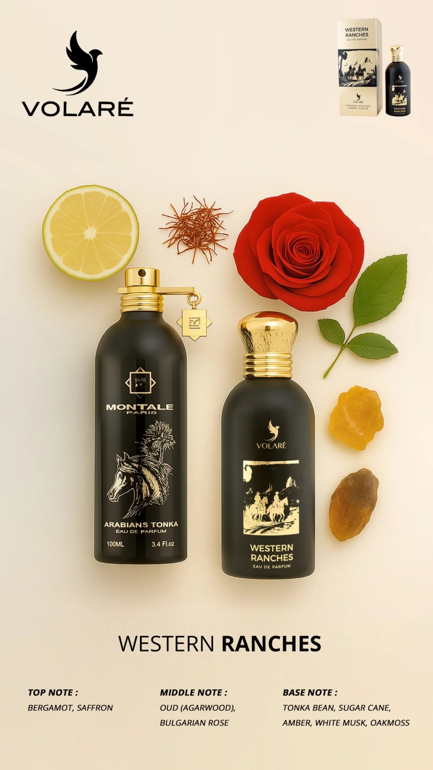 Western Ranches Volaré 100ML EDP