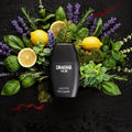 Drakkar Noir Eau de Toilette - Aromatix RD