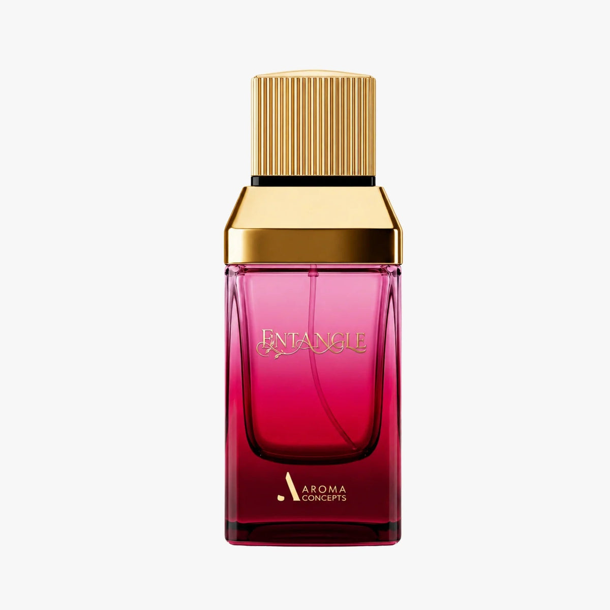 ENTANGLE de Aroma Concepts 100ML EDP - Aromatix RD