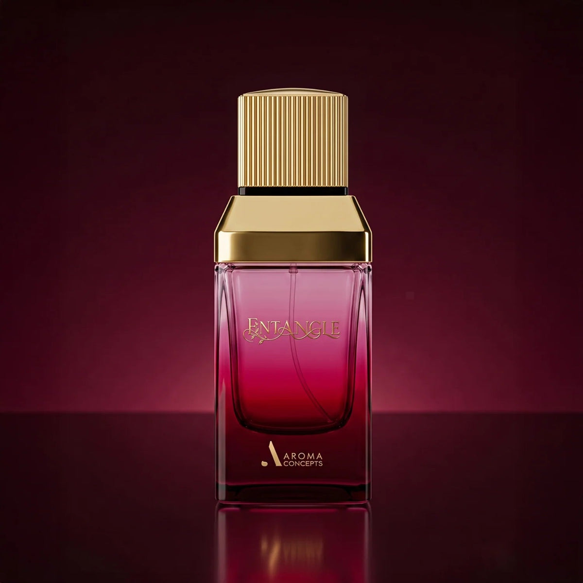 ENTANGLE de Aroma Concepts 100ML EDP - Aromatix RD