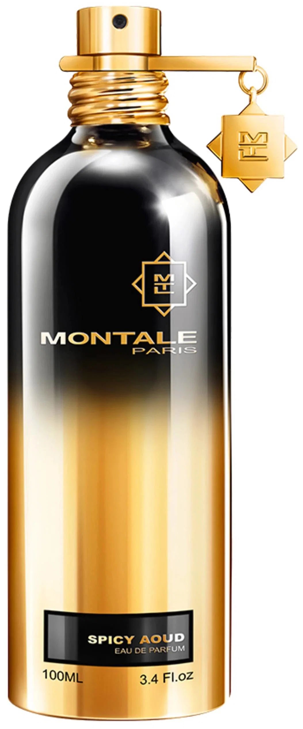 Montale, Spicy Aoud, Agua de perfume, Unisex, 100 ml