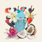 Island Bliss de Armaf 100ML