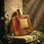 Rayhaan Tonquin Giza 100ml EDP - Aromatix RD