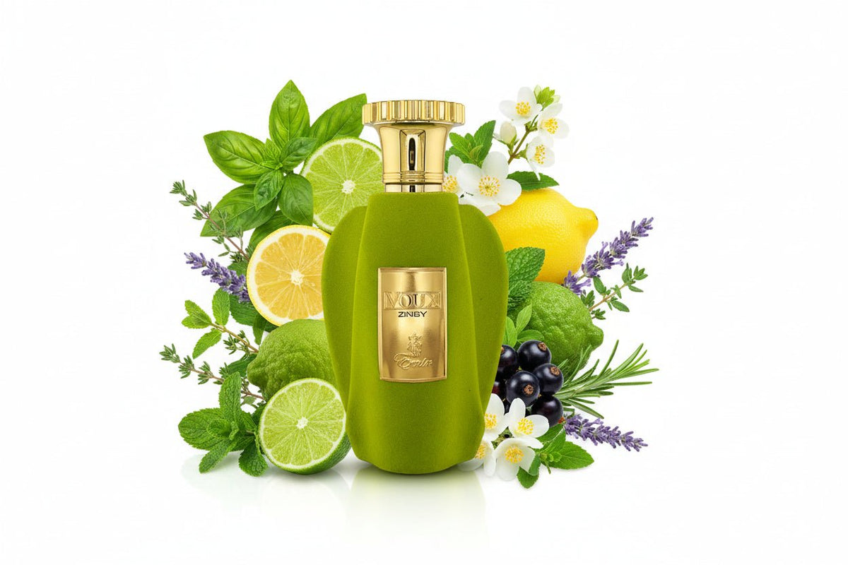 Voux Zingy Emir de Paris Corner - Aromatix RD