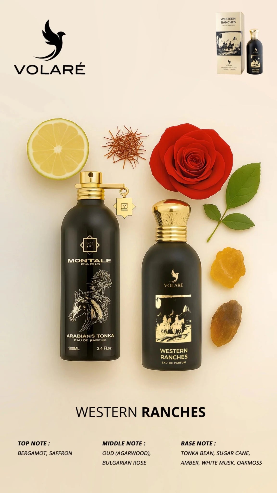Western Ranches Volaré 100ML EDP - Aromatix RD